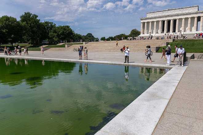 Reflecting Pool Algae Returns in Washington DC Reflecting Pool Algae Returns in Washington DC