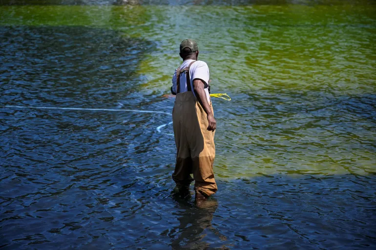 Reflecting Pool algae issue sparks sabotage claims Reflecting Pool algae issue sparks sabotage claims