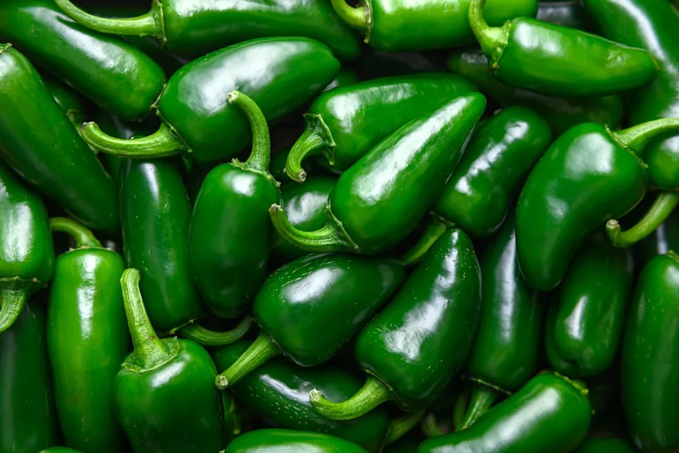 Salmonella Outbreak May Affect Jalapeno Meat Items Salmonella Outbreak May Affect Jalapeno Meat Items